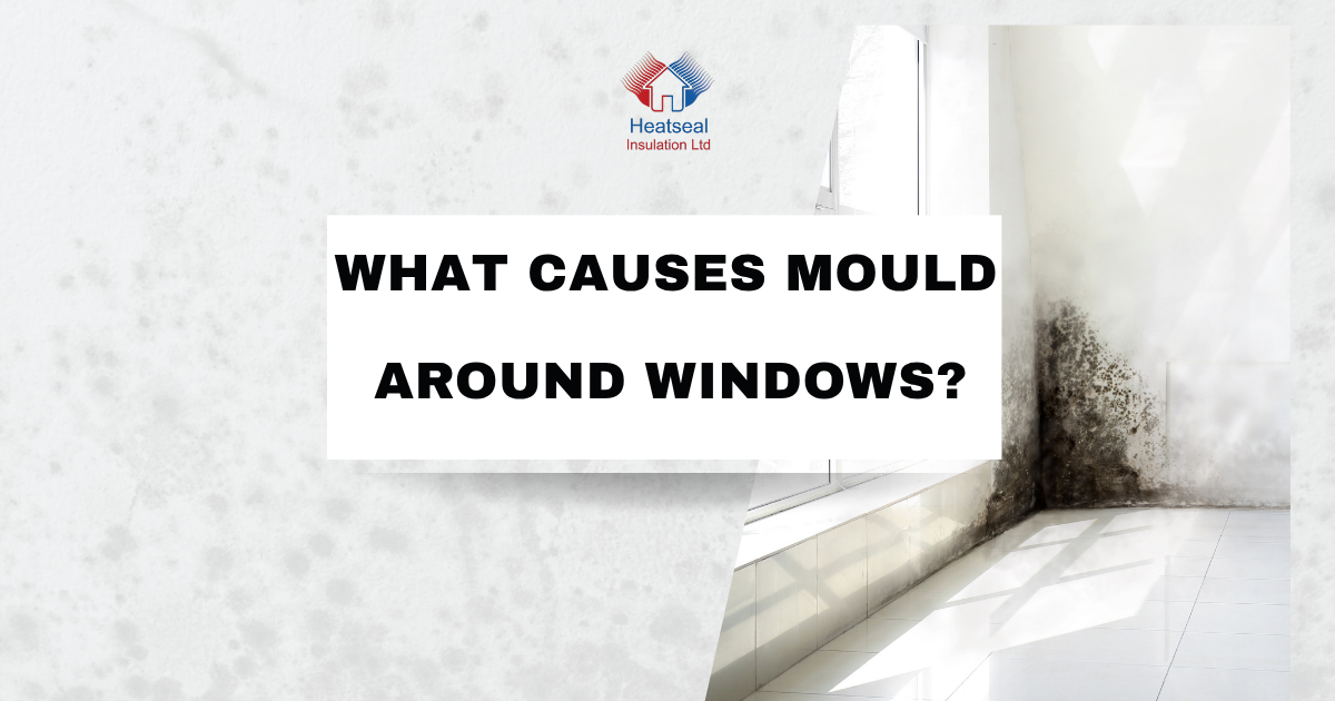 What Causes Mould Around Windows?