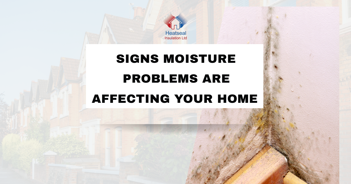 Signs Moisture Problems Are Affecting Your Home