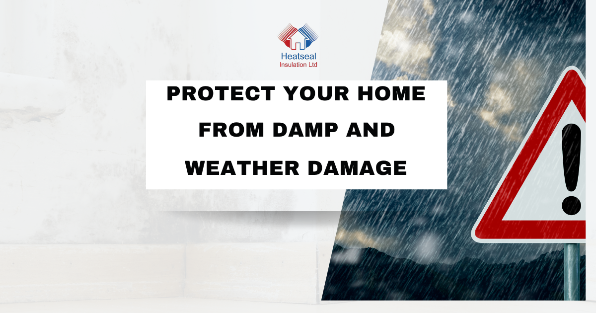Protect Your Home from Damp and Weather Damage