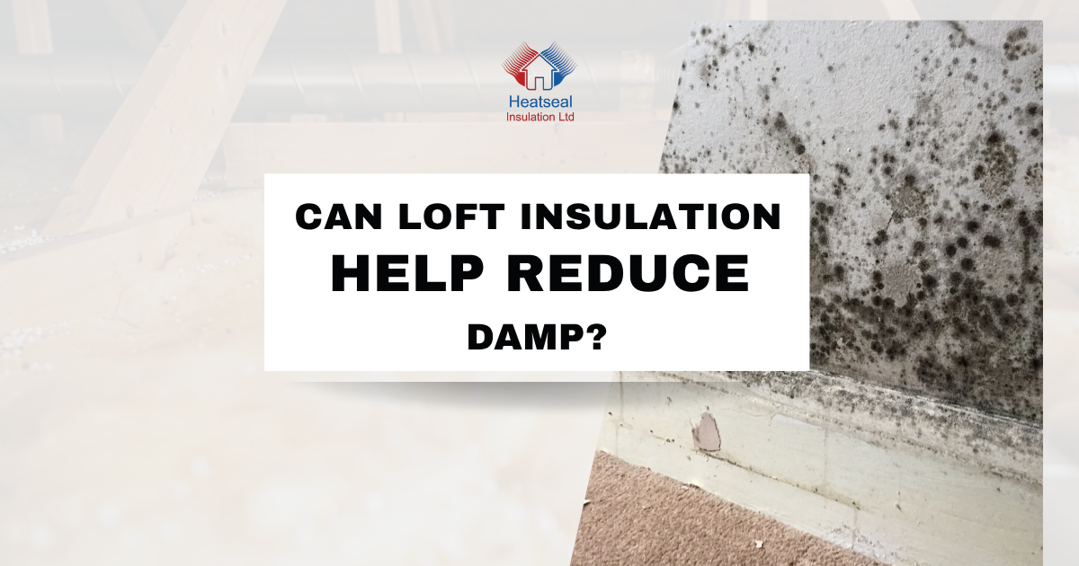 Can Loft Insulation Help Reduce Damp?